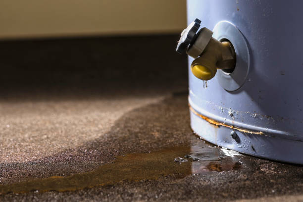Best Flood restoration services  in West Kittanning, PA