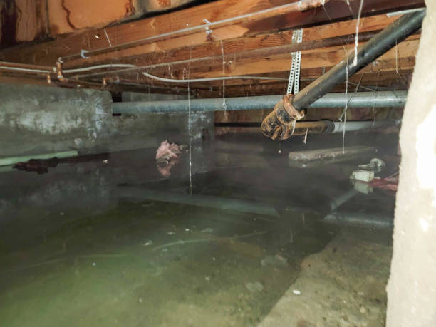 Best Flood damage cleanup  in West Kittanning, PA
