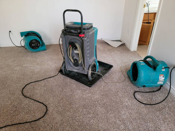 Best Residential water damage restoration  in West Kittanning, PA
