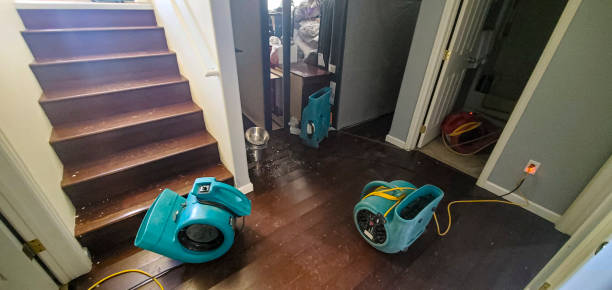 Best 24/7 water damage repair  in West Kittanning, PA