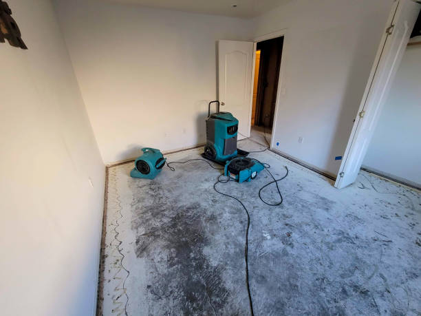 Best Basement water damage restoration  in West Kittanning, PA