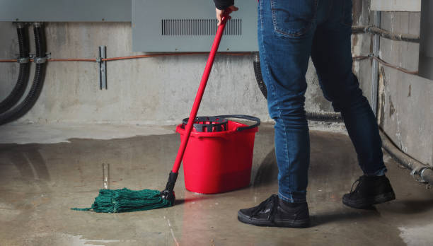 Best Flood restoration services  in West Kittanning, PA