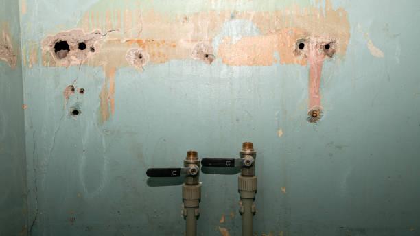 Best Water damage restoration experts  in West Kittanning, PA