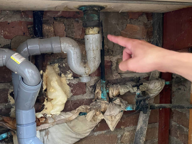 Best Mold removal after water damage  in West Kittanning, PA