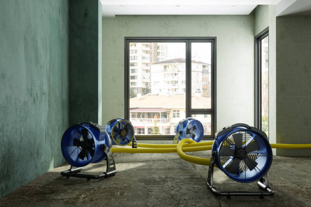 Best Water damage restoration company  in West Kittanning, PA